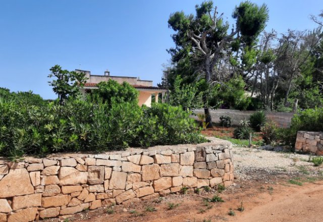 Villa con taverna e ampio terreno in località Torre Guaceto