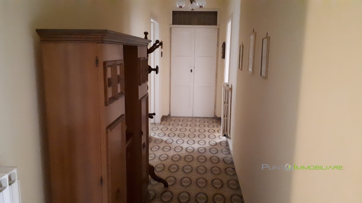 Appartamento MESAGNE vendita  Mesagne  Punto Immobiliare